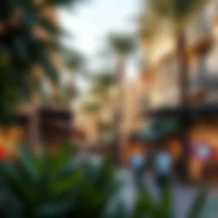 Commercial Hub of Jumeirah Village Commercial area in Jumeirah Village bustling with activity and shops