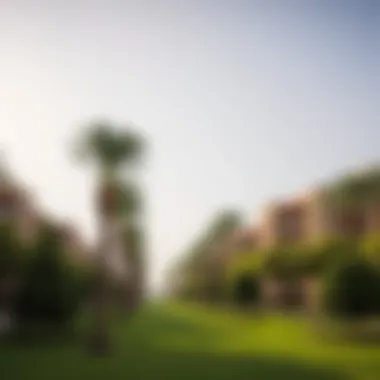 Tranquil Green Spaces in Majmoua Al-Bustan Tranquil green spaces within Majmoua Al-Bustan