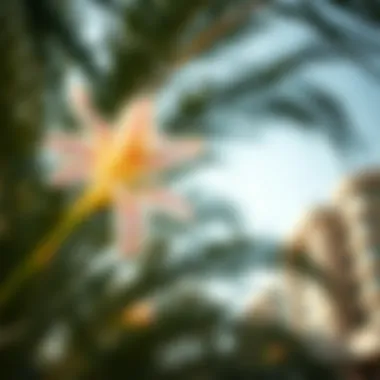 Economic Impact of Palm Flowers on Real Estate Economic significance of palm flowers in Dubai's real estate market