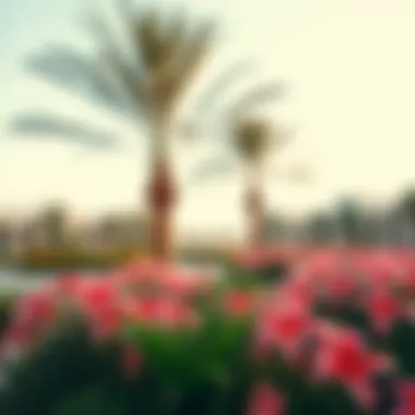 Vibrant Landscape Featuring Palm Flowers A vibrant palm flower arrangement in Dubai's landscape