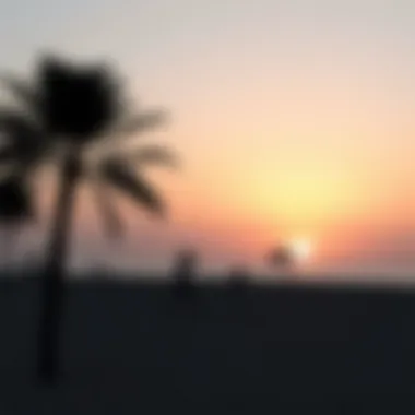 Serene Beach Sunset in Abu Dhabi Silhouette of a tranquil beach with the sun setting over the horizon