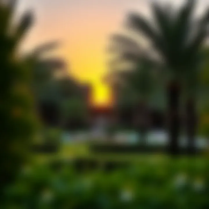 Lush Garden Framed by a Vibrant Sunset A lush garden with palm trees framed by a vibrant sunset