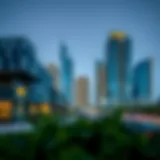 The Palm Deira: Understanding Its Significance in Dubai's Real Estate Landscape Introduction