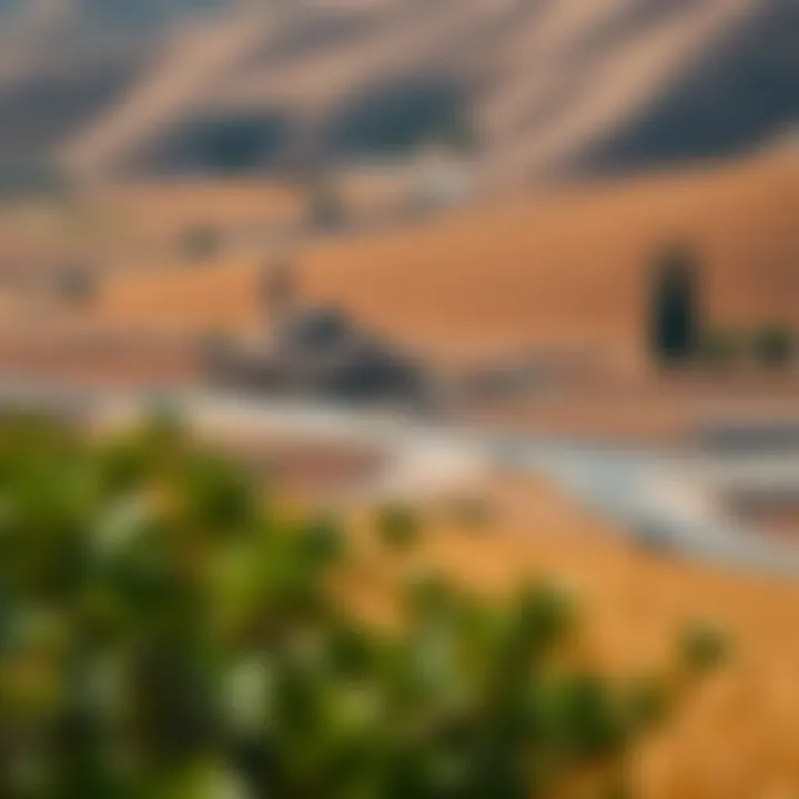 Agricultural Landscape of الفلاح القديمة A scenic landscape of the agricultural surroundings of الفلاح القديمة