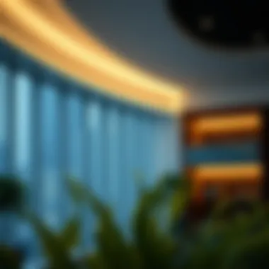 Understanding Credit Bureaus in Dubai: A Comprehensive Overview Summary