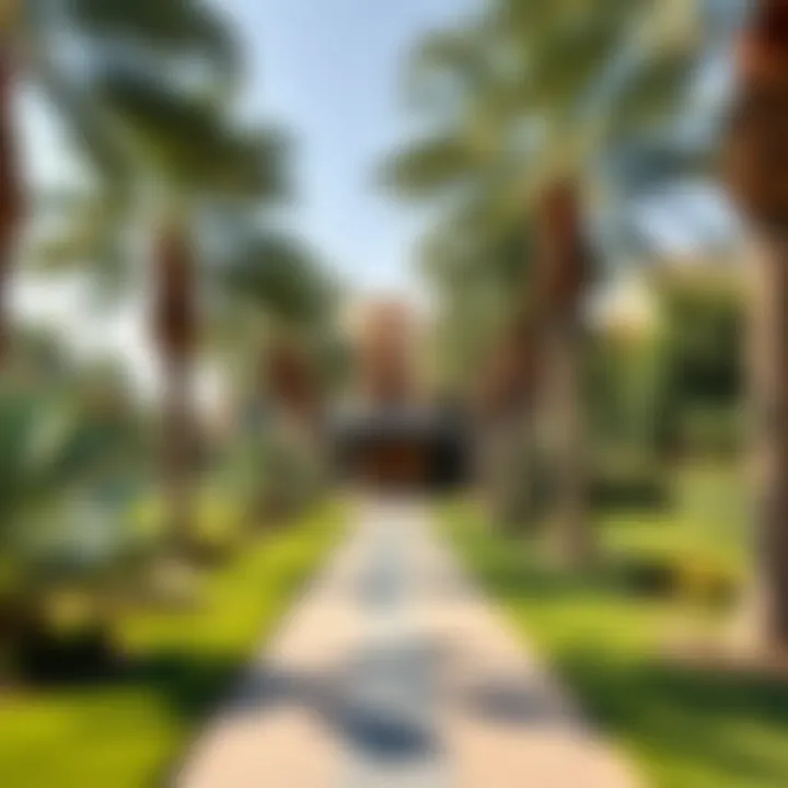 Green Parks and Recreational Areas in Warqa 2 Green parks and recreational areas in Warqa 2