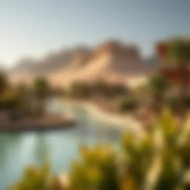 Sustainability Efforts at Wild Wadi Eco-friendly initiatives in the park's landscape